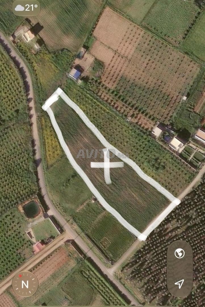 Alrededores de Tiflet