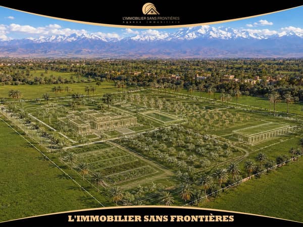 Terrain de 54 411 m² sur l’axe Agadir–Essaouira – 4 façades, 2 puits, oliviers et vue…