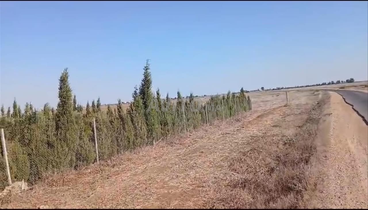 Kleine Farm mit Landtitel an der Straße nach Ouled Abbou