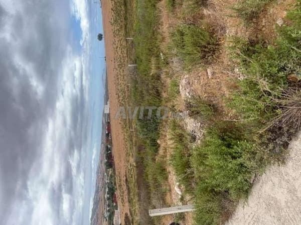 Terrain à vendre à Aylienne à un prix très raisonnable zone ville