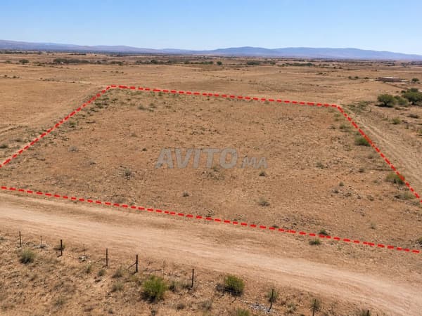 Terreno di 2 ettari in vendita nella provincia di Tiznit – 20 000 m²