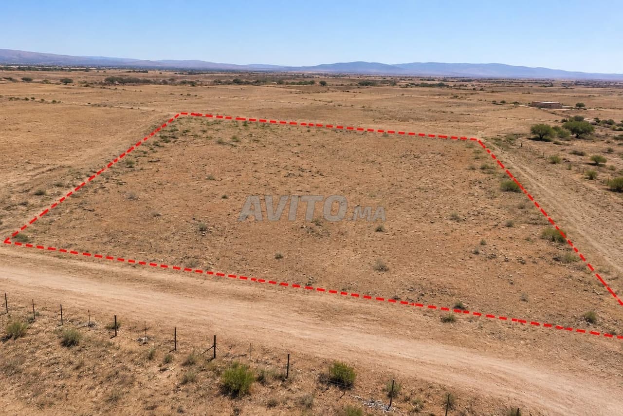 Terreno di 2 ettari in vendita nella provincia di Tiznit – 20 000 m²