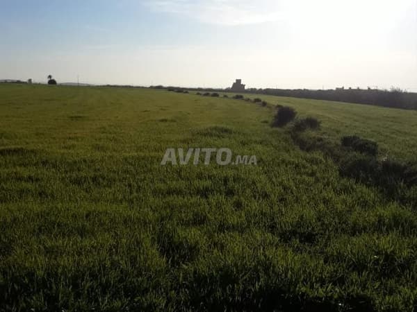 Terrain de 18127m agricole route sidi batach