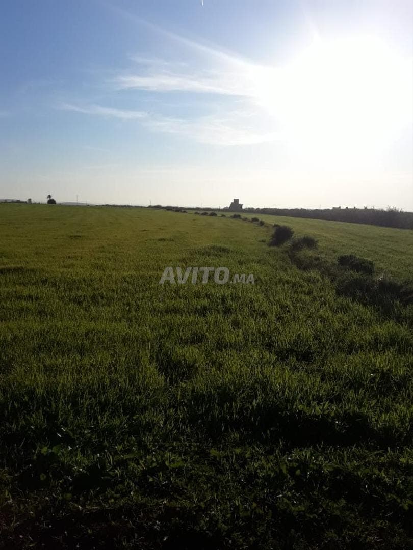 Terrain de 18127m agricole route sidi batach