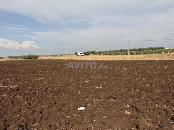 8 hectares à vendre