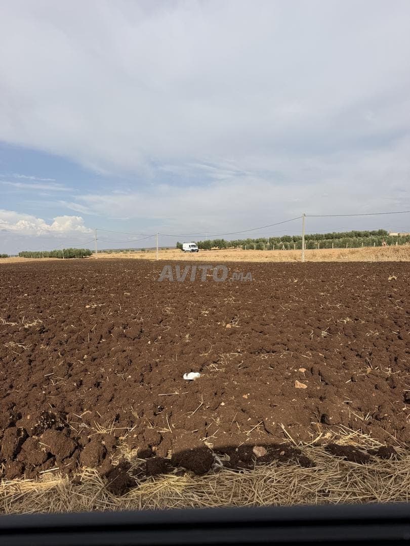 8 hectares for sale