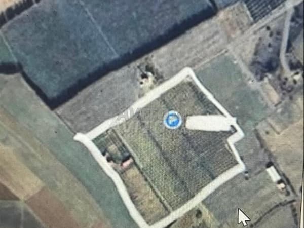 Farm for sale