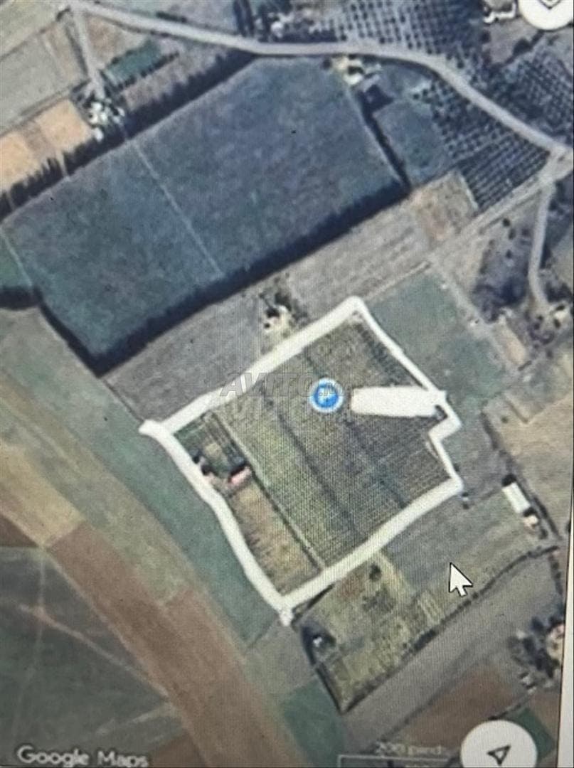 Farm for sale