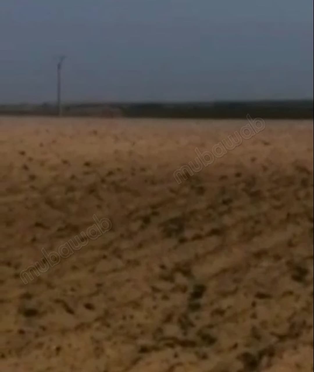 Un terreno sabbioso di 300 ettari