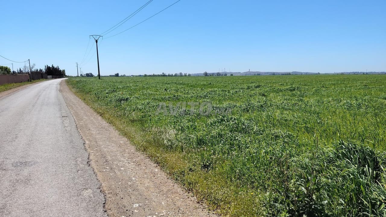 1 Ha – Lotissement– Façade Goudronnée – Benslimane