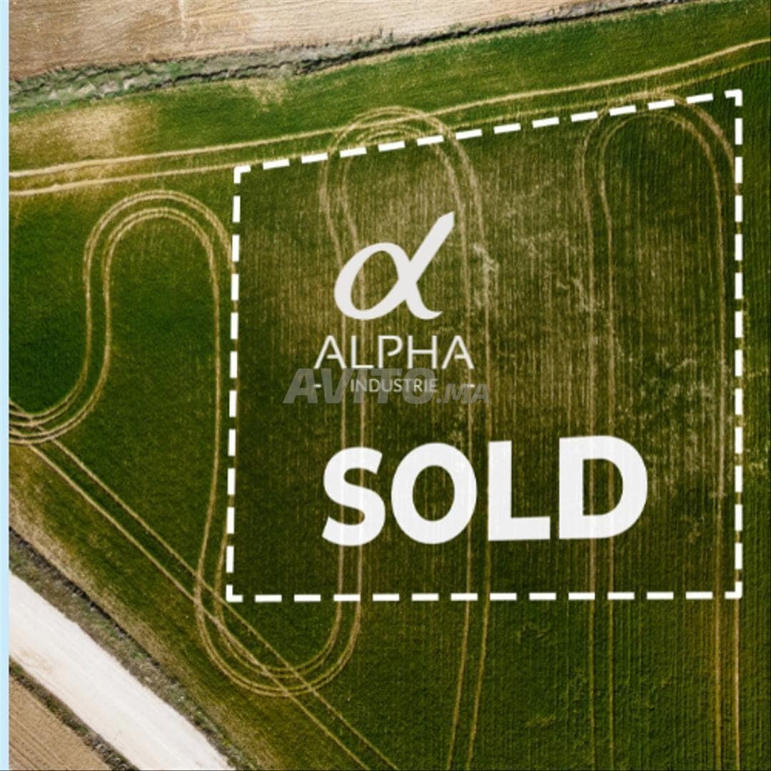 A VENDRE Terrain industriel zone I8