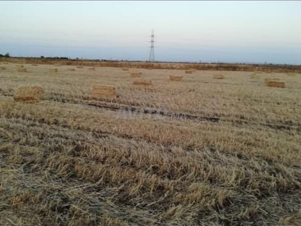 Une ferme – Terrain à vendre à El Gara