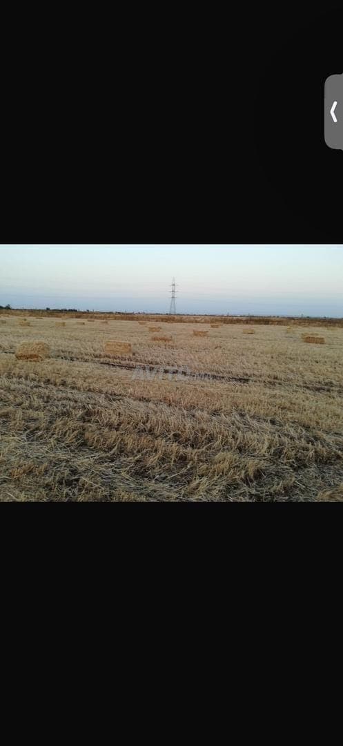 Une ferme – Terrain à vendre à El Gara