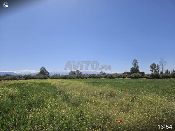Terrain 2500m2