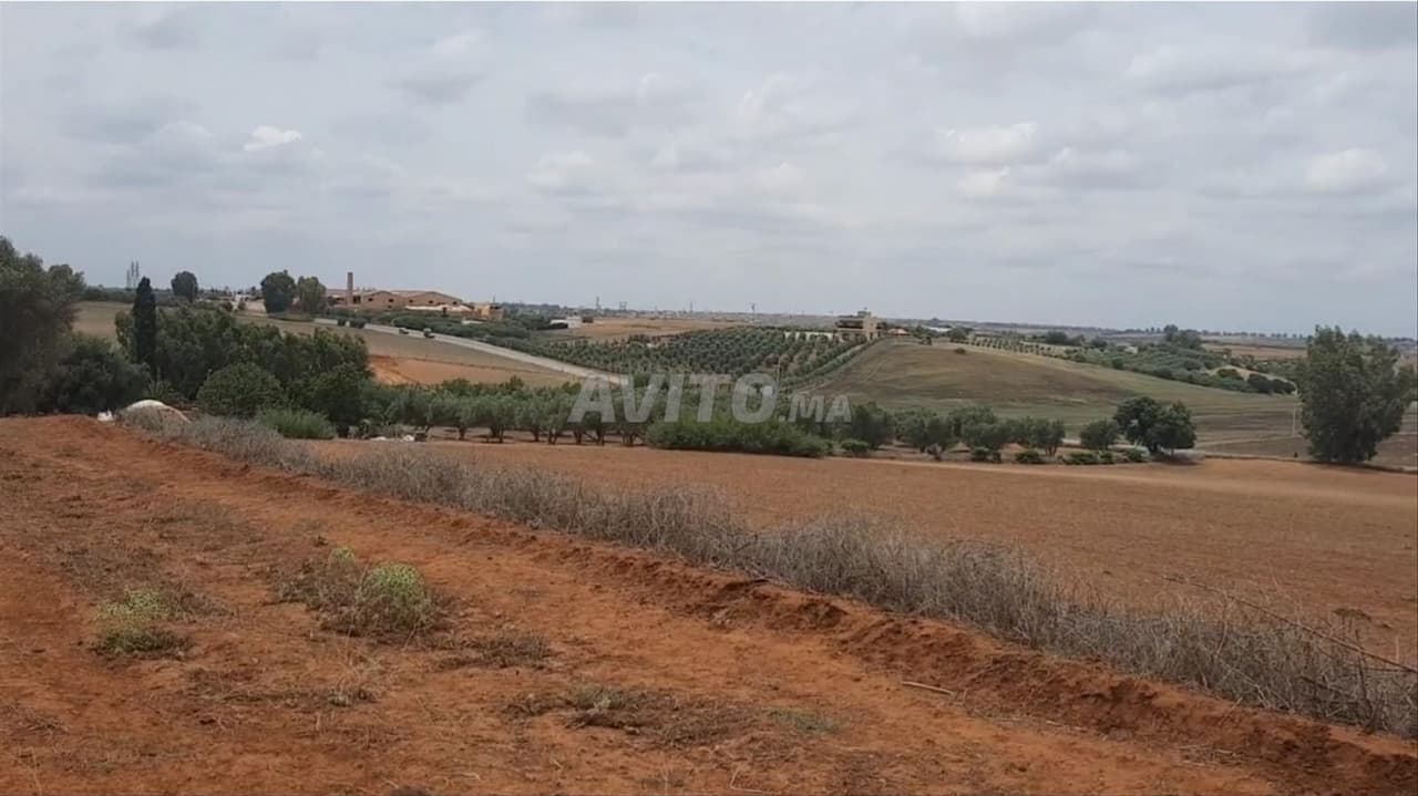 Landbouwgrond vlakbij Khemisset