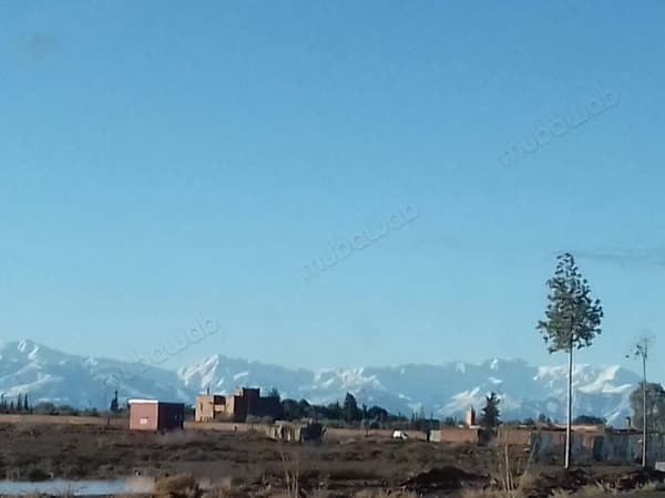 Terrain 2750M2 direct sur goudron rte Amizmiz Km23