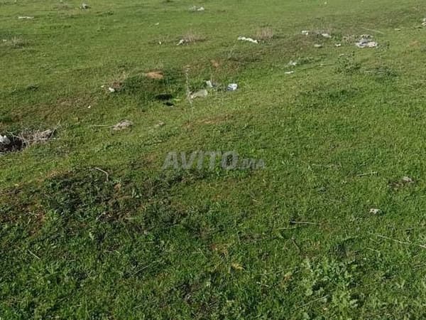 VENTE LOT TERRAIN VILLA 281 M2 A ALLIANCE MEHDIA