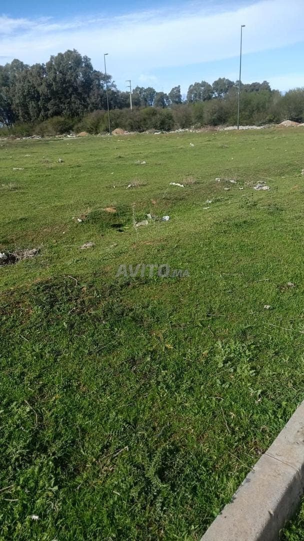 VENTE LOT TERRAIN VILLA 281 M2 A ALLIANCE MEHDIA