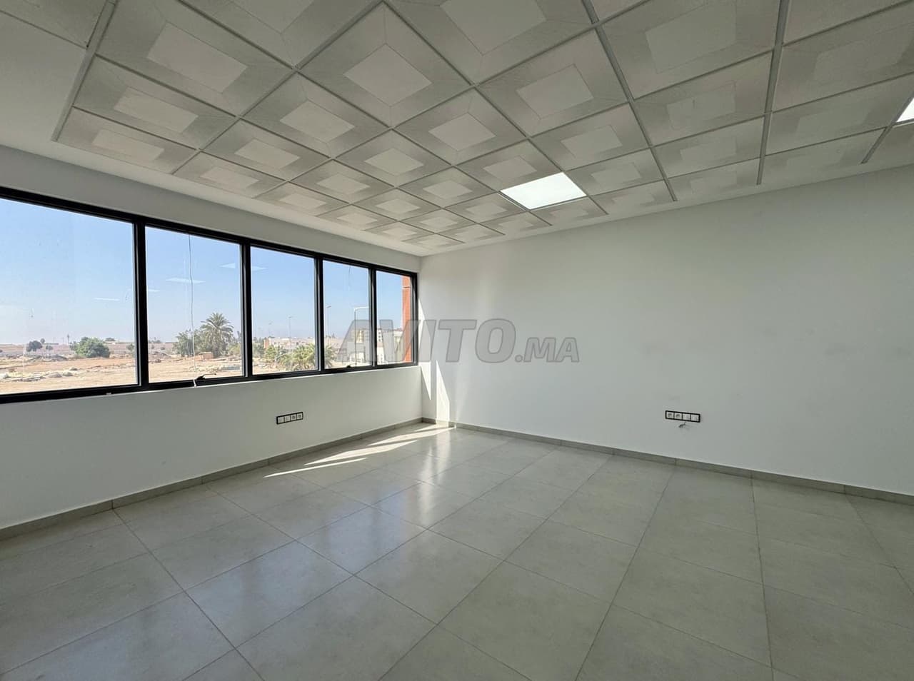 Office plateau