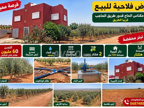 5 hectares équipés à vendre Meknes El Had Kaddour