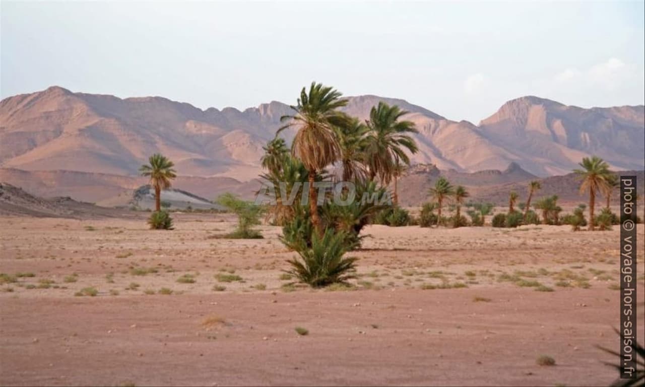 Getitelde landbouwgrond 2300 hectare in provincie Tata Marokko