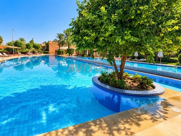 Appartement Rez de Jardin Palmeraie