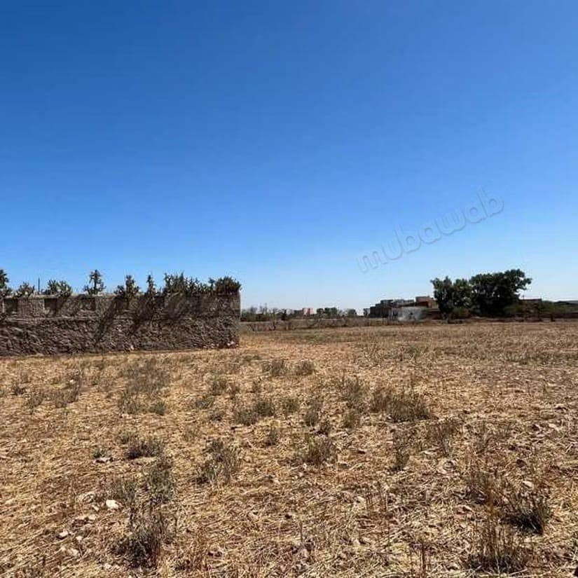 Terreno agrícola en venta de 9660.0 m² en Dar Bouazza, Tamaris2