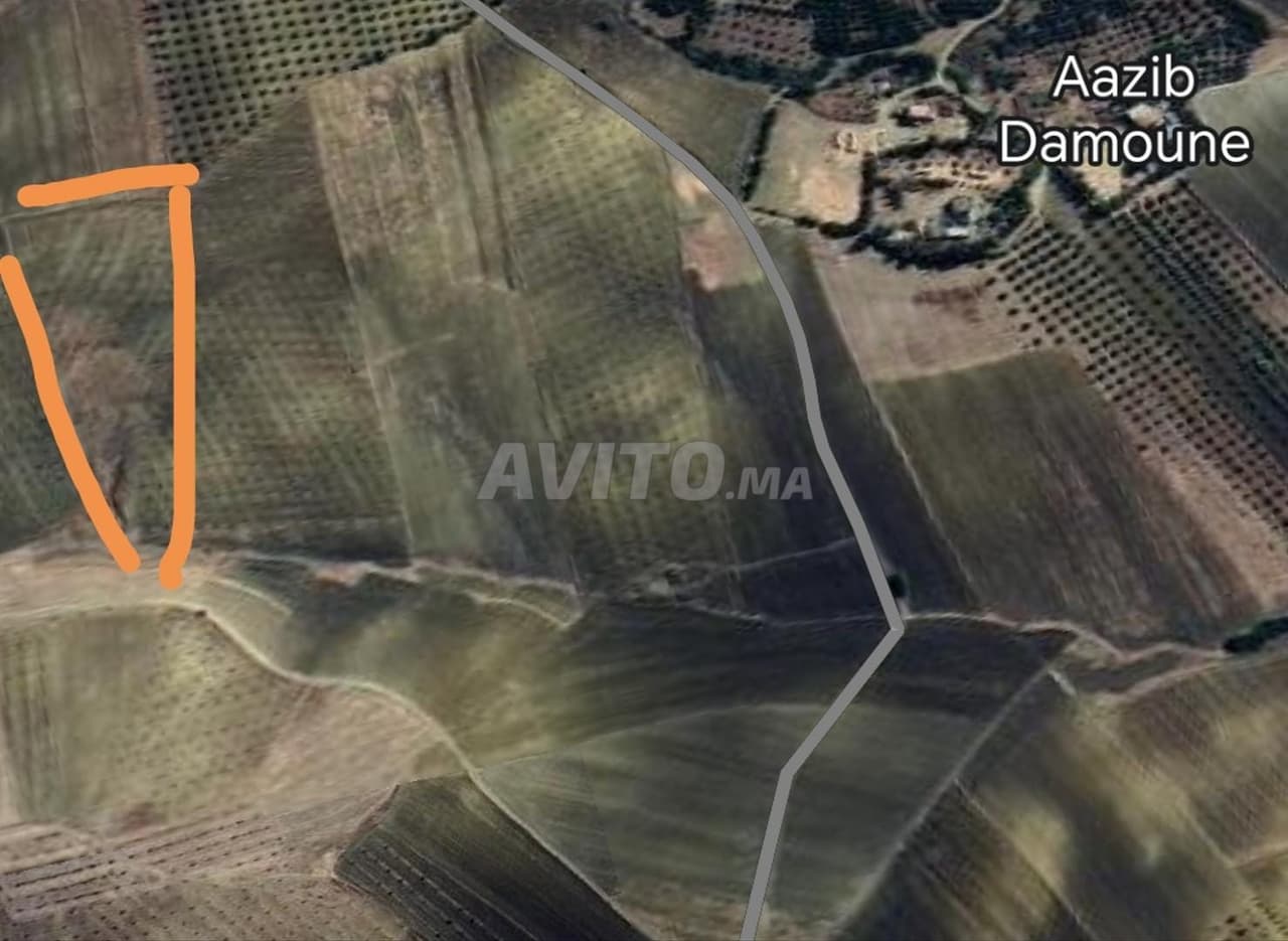 Terreno agricolo