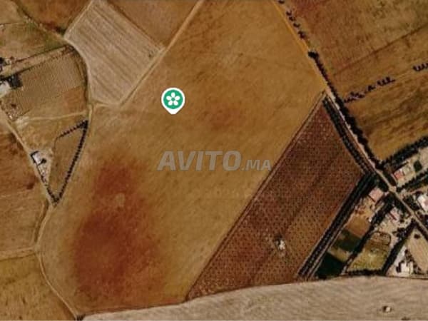 Land for rent