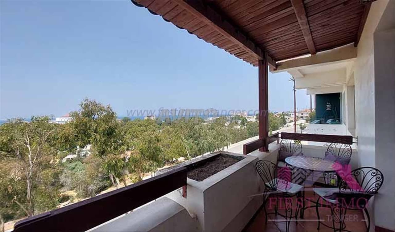 Nice Apartment With Terrace For Rent