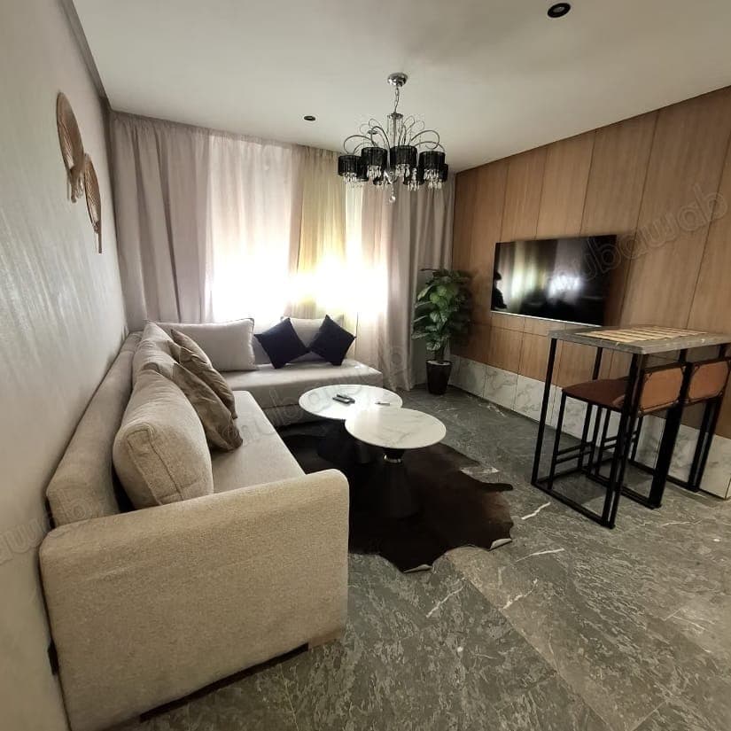 Modern chic brand-new furnished studio for rent