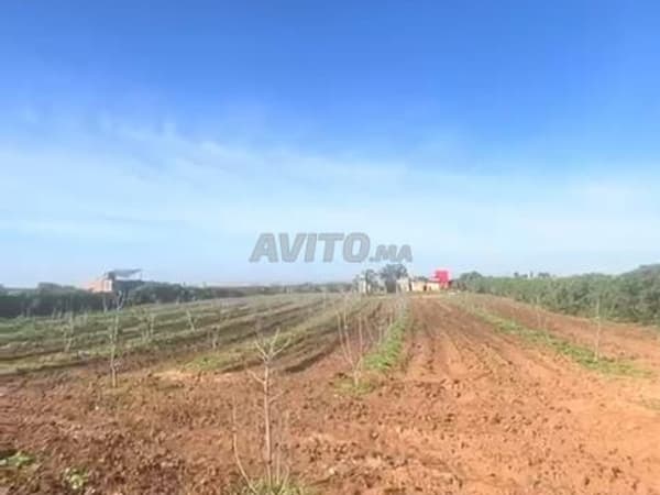 T17899978999