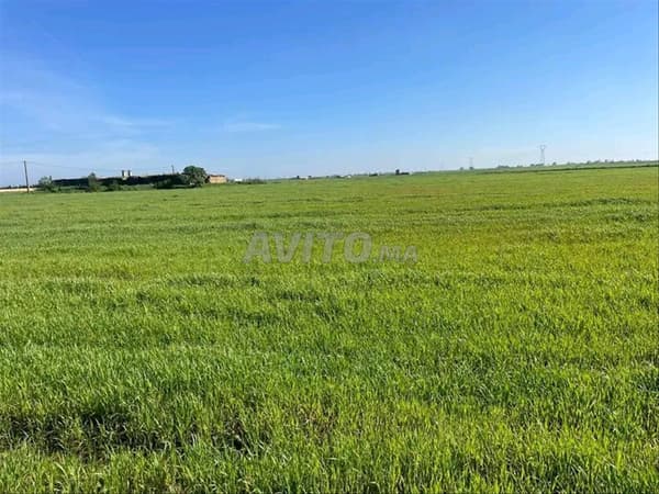 Terreno agrícola en venta