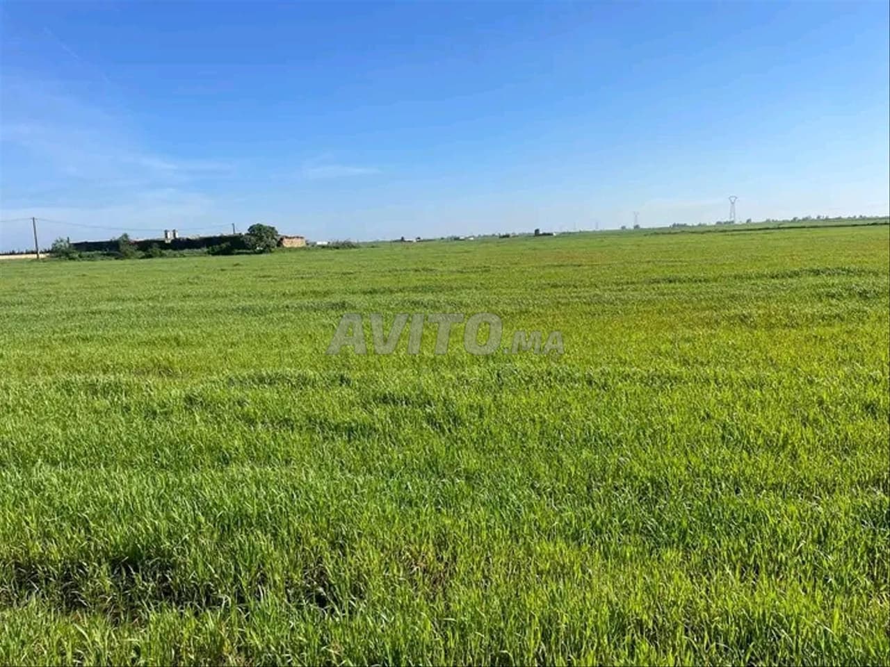 Terreno agrícola en venta
