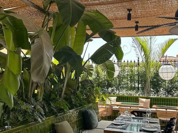 Lounge Restaurant