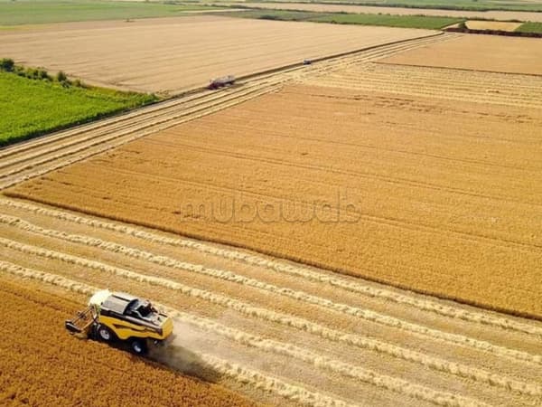 Terrain agricol plat sur route goudronnée proximité Dar dow Moulay driss zarhoune