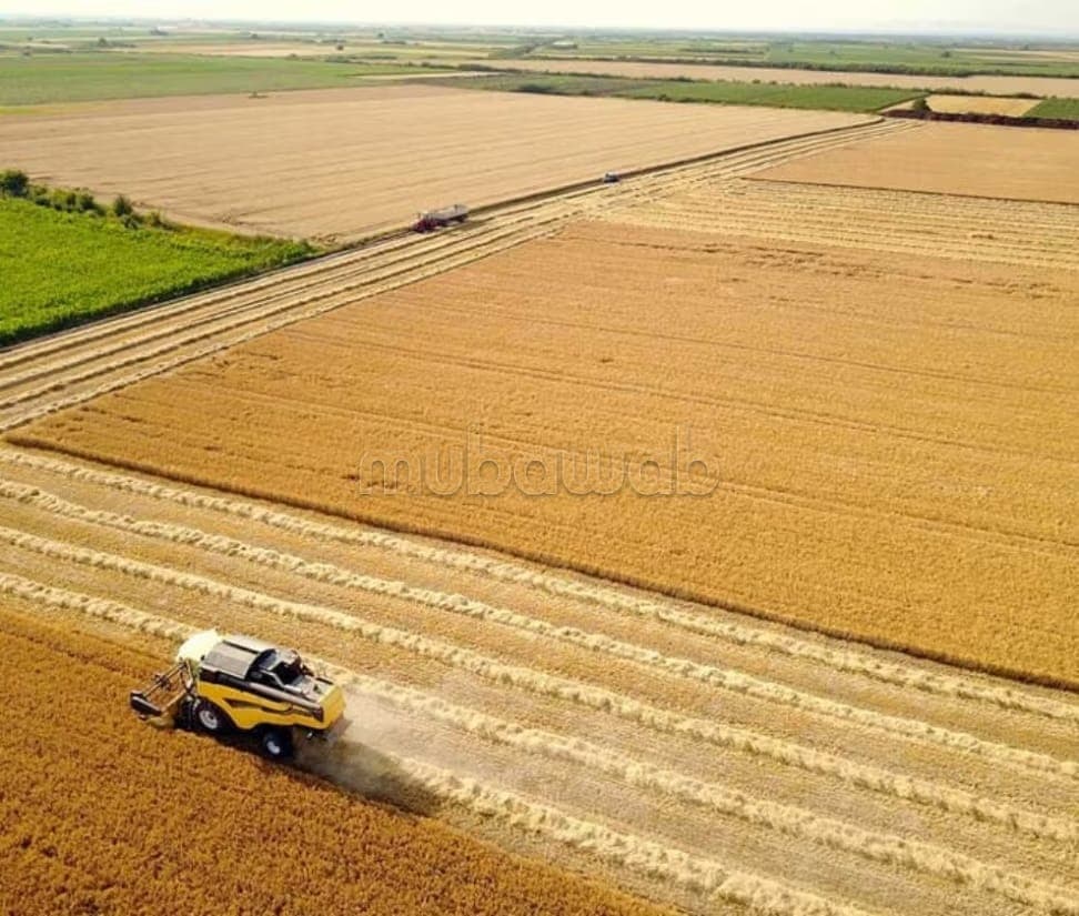 Terrain agricol plat sur route goudronnée proximité Dar dow Moulay driss zarhoune