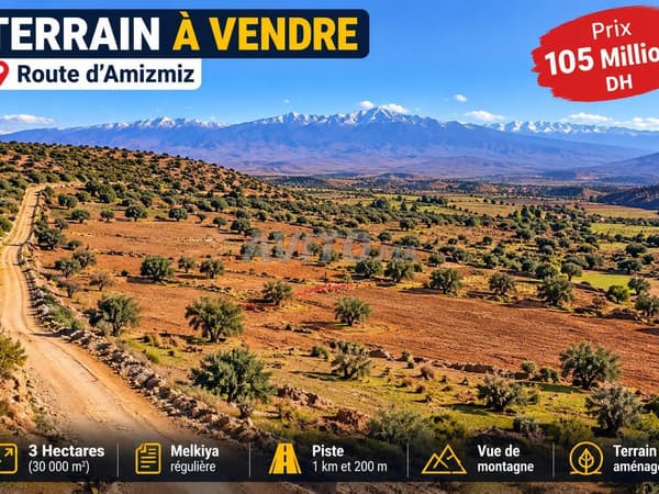 Grundstück 3 ha zu verkaufen – Amizmiz