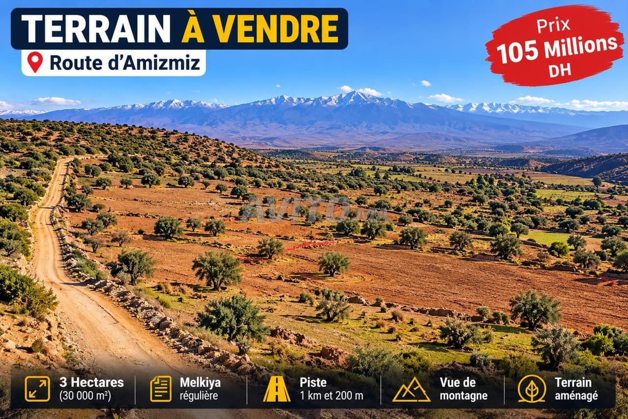 Terrain 3 ha à vendre – Amizmiz