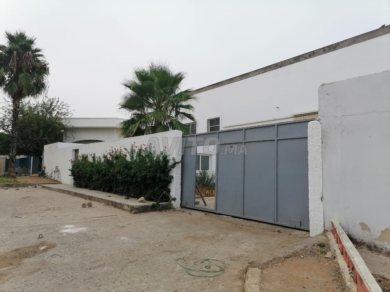Verkoop of verhuur industrieel gebouw 2570m²