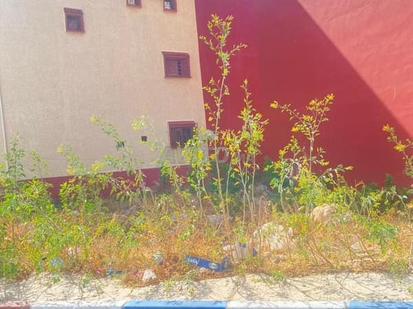 Perceel van 155m² met Titre Lotissement Alhana2