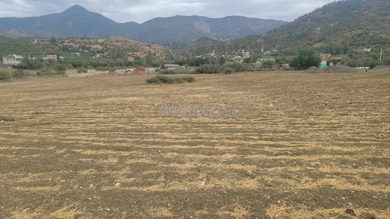 Terrain titré - 1.5 hectares - tél