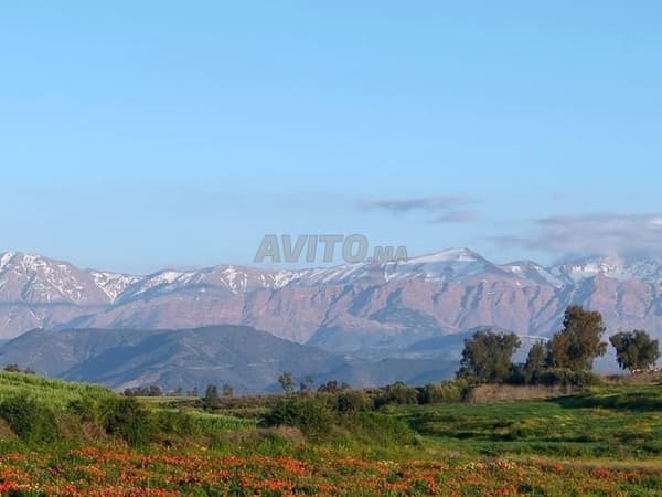 Terrain Melkiya