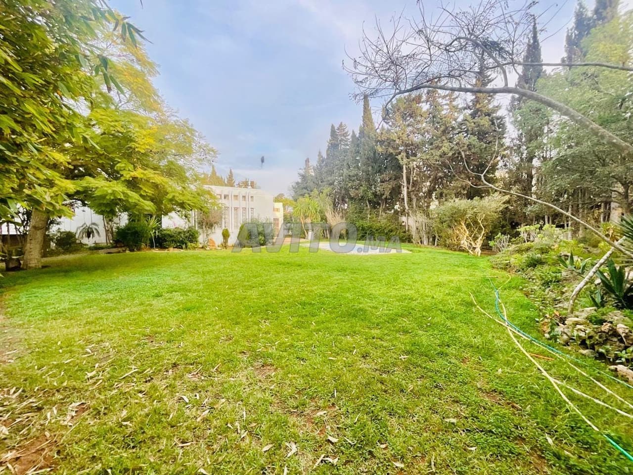 Bella villa alla pineta Souissi