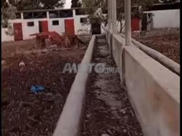 Granja con título de propiedad