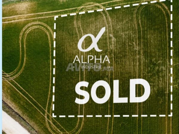 Terrain agricole à vendre – Berrechid