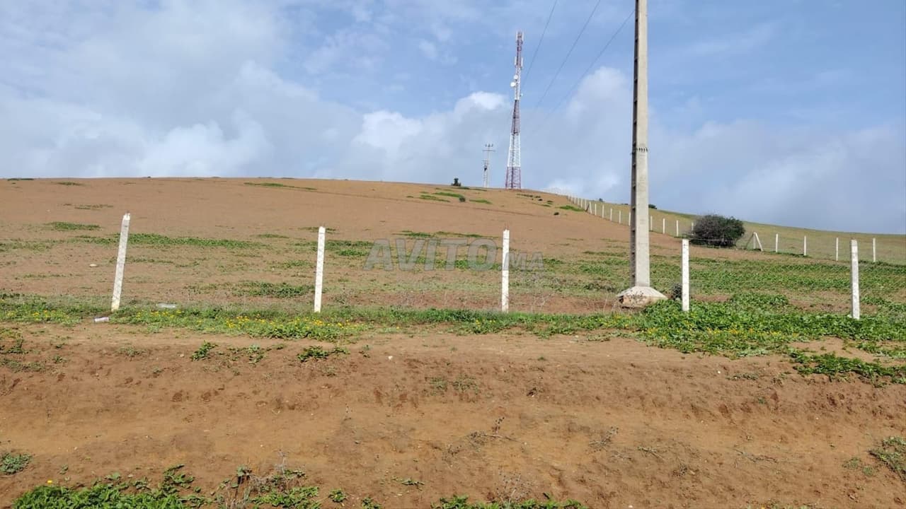 5.4 ha titré à Khemisset