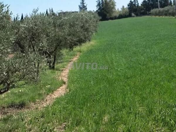 3 hectáreas en venta junto al aeropuerto de Oujda