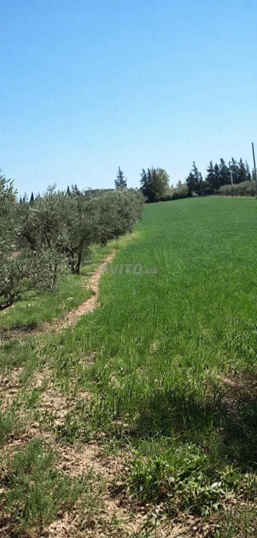 3 hectáreas en venta junto al aeropuerto de Oujda