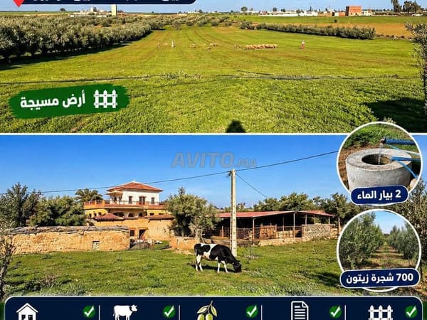 3.5 Hectares à vendre Meknes El Had Kadour Route El Hajeb